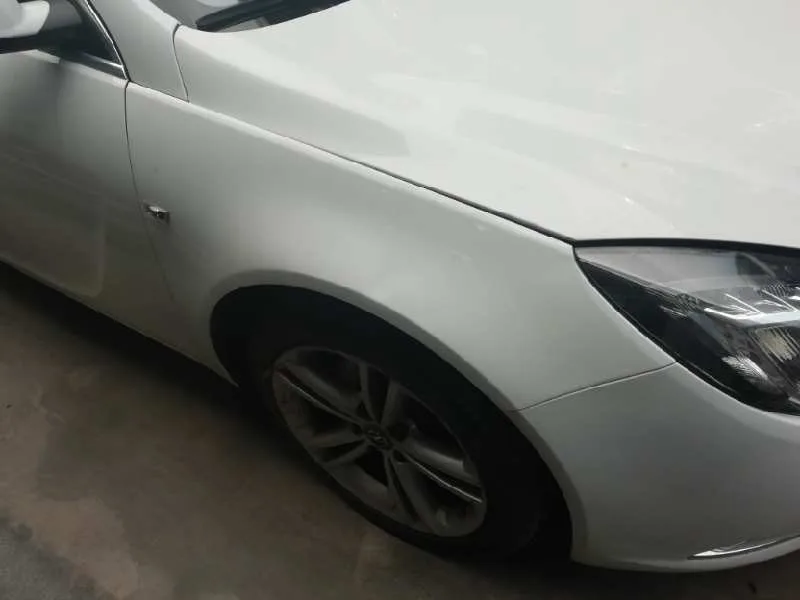 Aleta Delantera Derecha para Opel Insignia Berlina