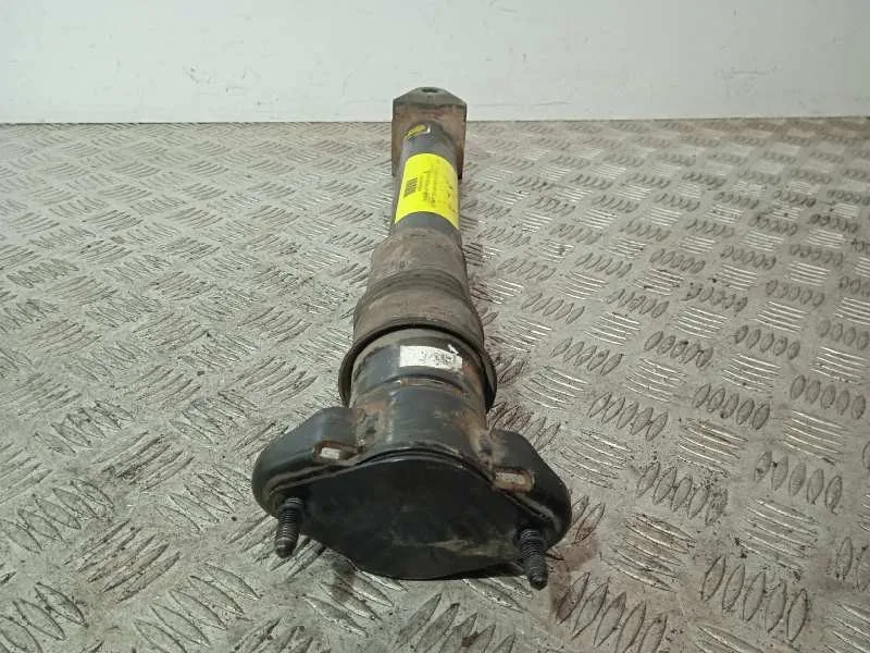 Amortiguador Trasero Izquierdo para Mercedes-Benz Clase R (W251)