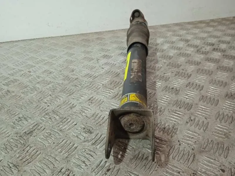 Amortiguador Trasero Izquierdo para Mercedes-Benz Clase R (W251)