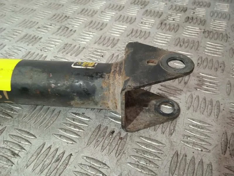 Amortiguador Trasero Izquierdo para Mercedes-Benz Clase R (W251)