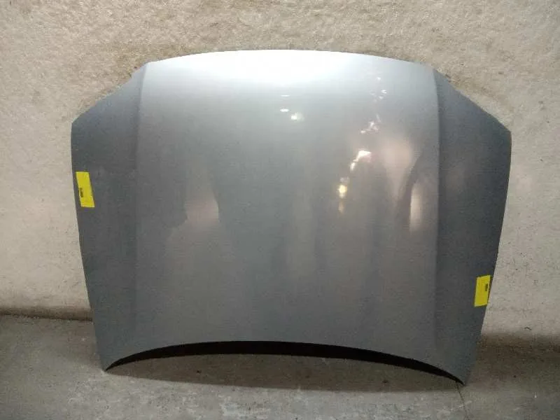 Capot para Volkswagen Passat Berlina (3B3)