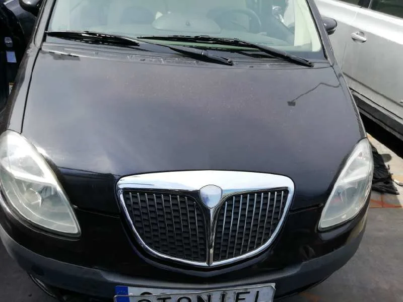 Capot para Lancia Musa (184)