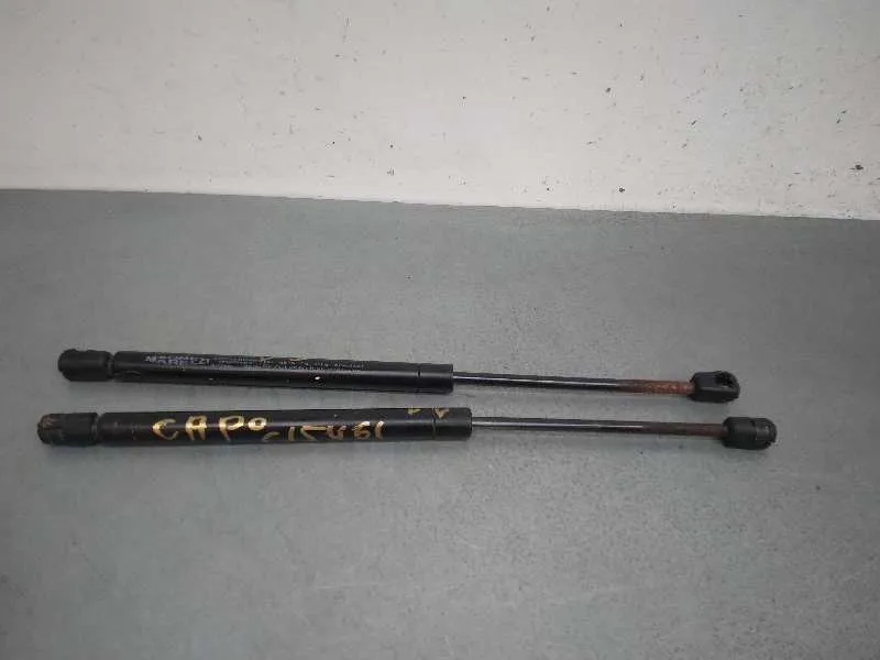 Amortiguadores Capo para Mercedes-Benz Clase R (W251)