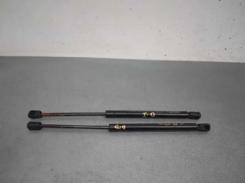 Amortiguadores Capo para Mercedes-Benz Clase R (W251)