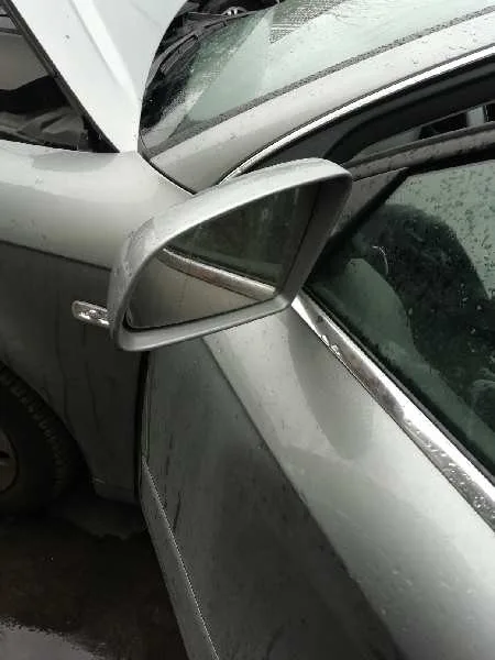 Retrovisor Izquierdo para Audi A4 Berlina (8E)