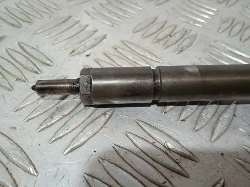 Inyector para Hyundai Santa Fe (Bm)