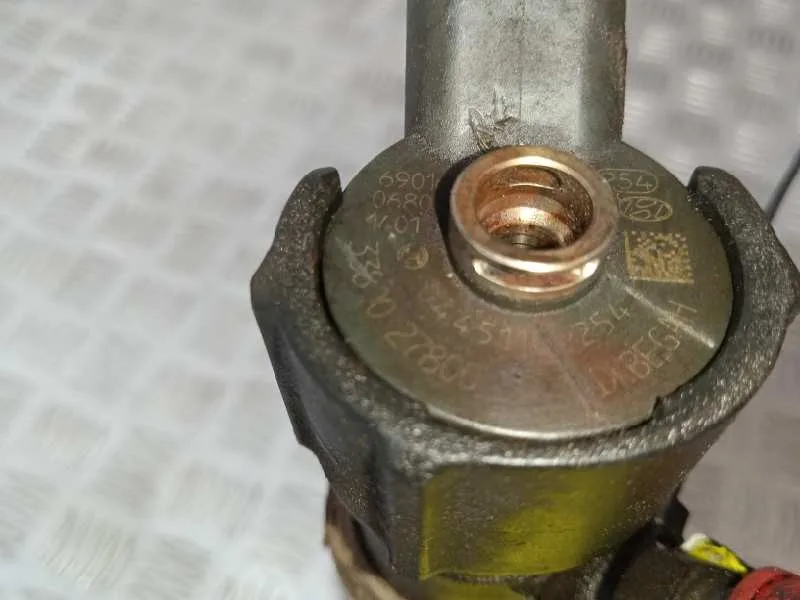 Inyector para Hyundai Santa Fe (Bm)