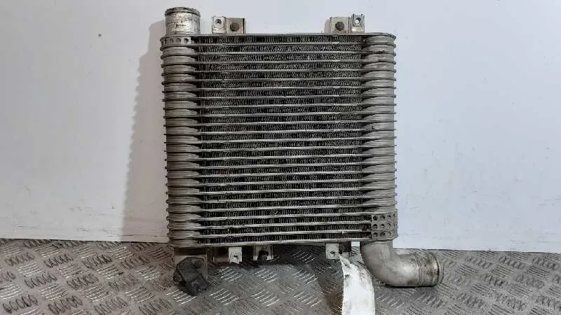 Intercooler para Hyundai Santa Fe (Bm)