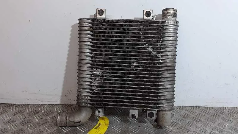 Intercooler para Hyundai Santa Fe (Bm)