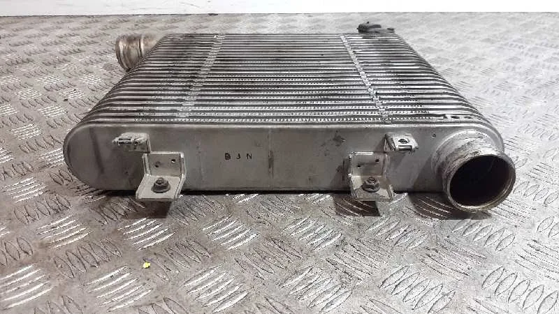 Intercooler para Hyundai Santa Fe (Bm)