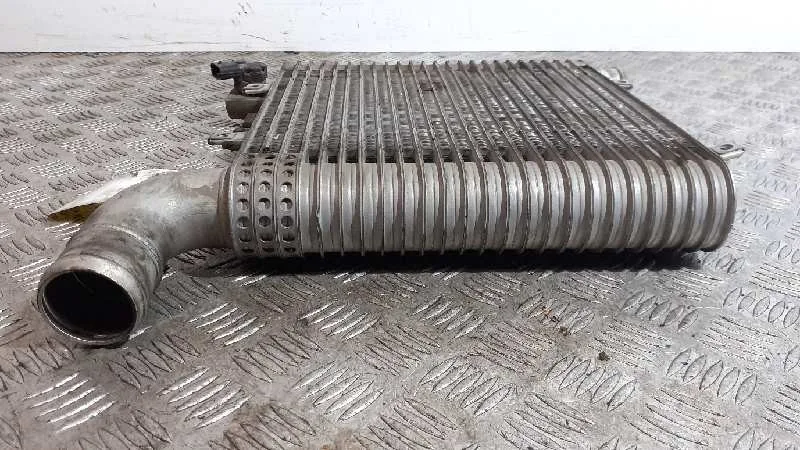 Intercooler para Hyundai Santa Fe (Bm)