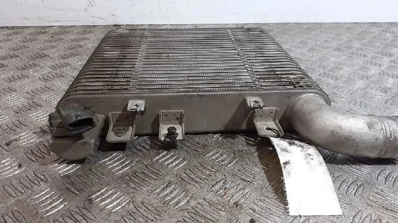 Intercooler para Hyundai Santa Fe (Bm)