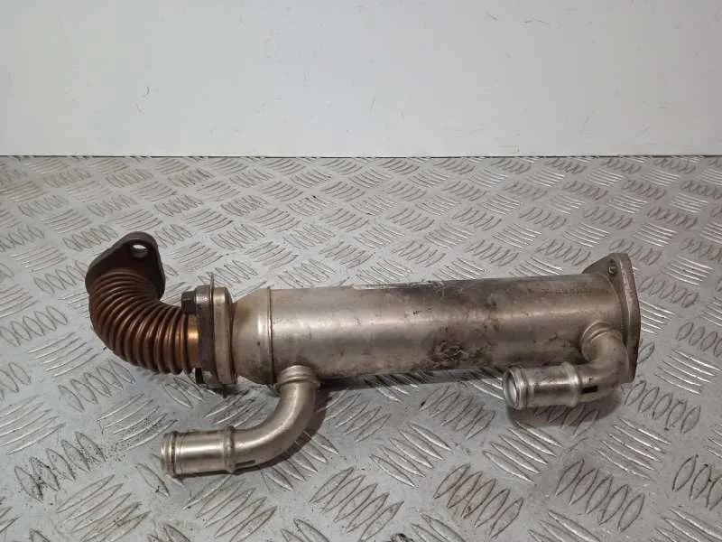 Enfriador Egr para Hyundai Santa Fe (Bm)
