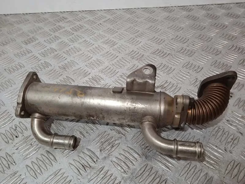 Enfriador Egr para Hyundai Santa Fe (Bm)