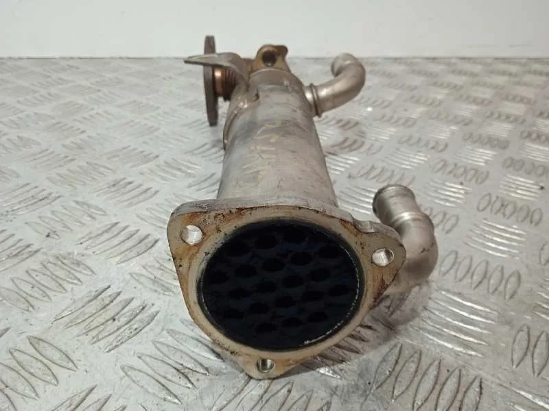 Enfriador Egr para Hyundai Santa Fe (Bm)