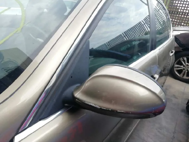 Retrovisor Izquierdo para Bmw Serie 3 Berlina (E90)