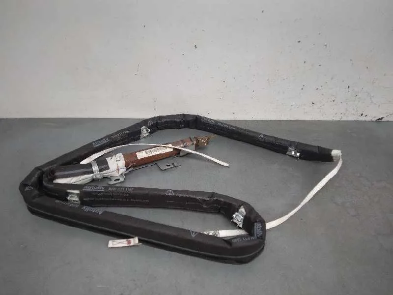 Airbag Cortina Delantero Izquierdo para Citroën C6