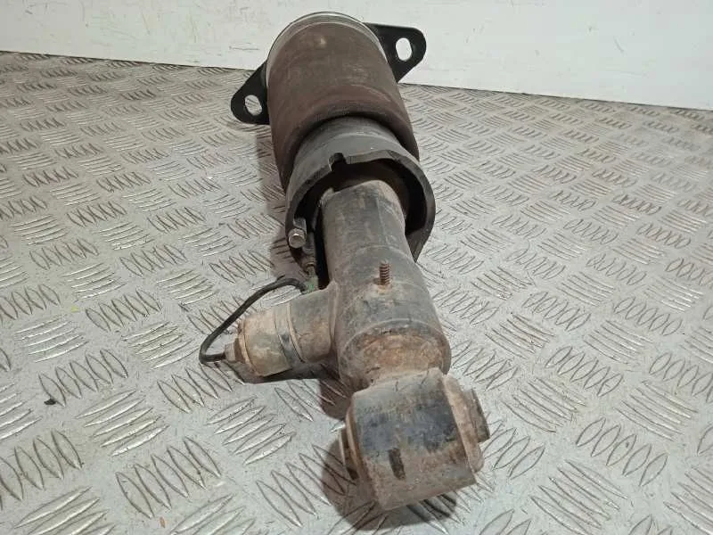 Amortiguador Trasero Izquierdo para Audi Allroad Quattro (4B5)