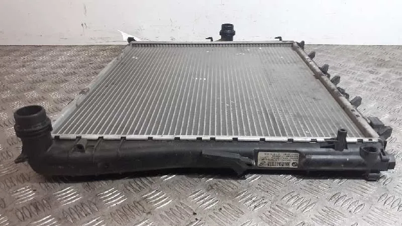 Radiador Agua para Bmw X3 (E83)