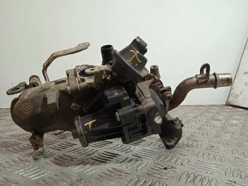 Valvula Egr para Citroën Berlingo Station Wagon