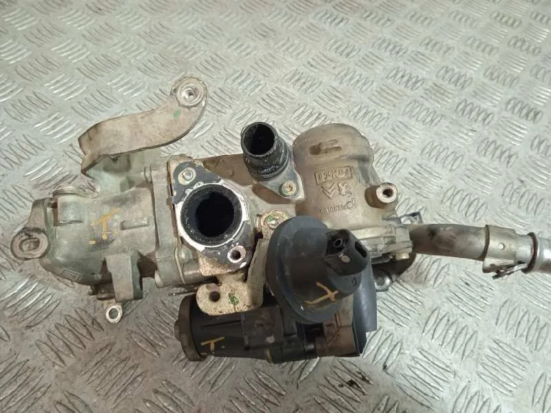 Valvula Egr para Citroën Berlingo Station Wagon