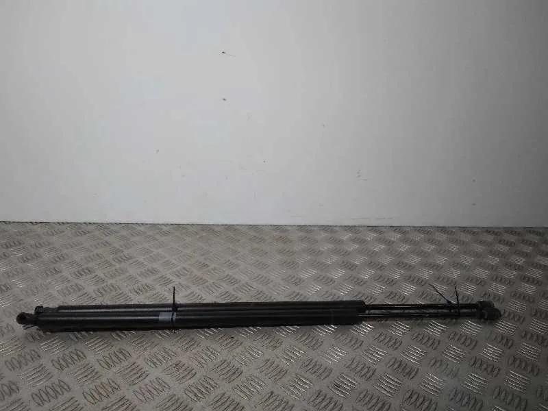 Amortiguadores Maletero / Porton para Ford Kuga (Cbs)