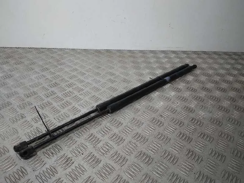 Amortiguadores Maletero / Porton para Ford Kuga (Cbs)