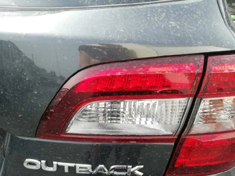Piloto Trasero Derecho Interior para Subaru Outback (B15)