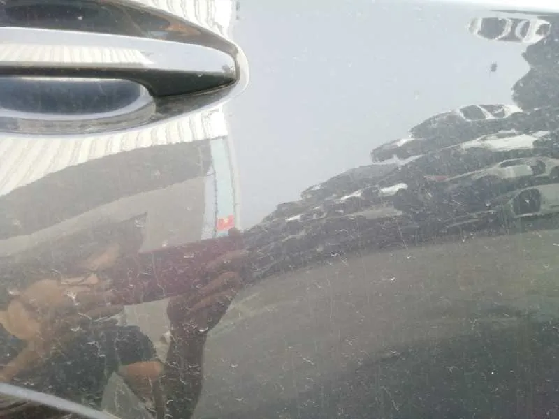 Puerta Trasera Derecha para Subaru Outback (B15)