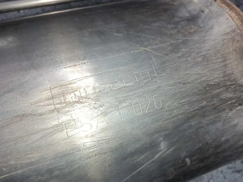 Filtro De Particulas para Citroën C4 Picasso