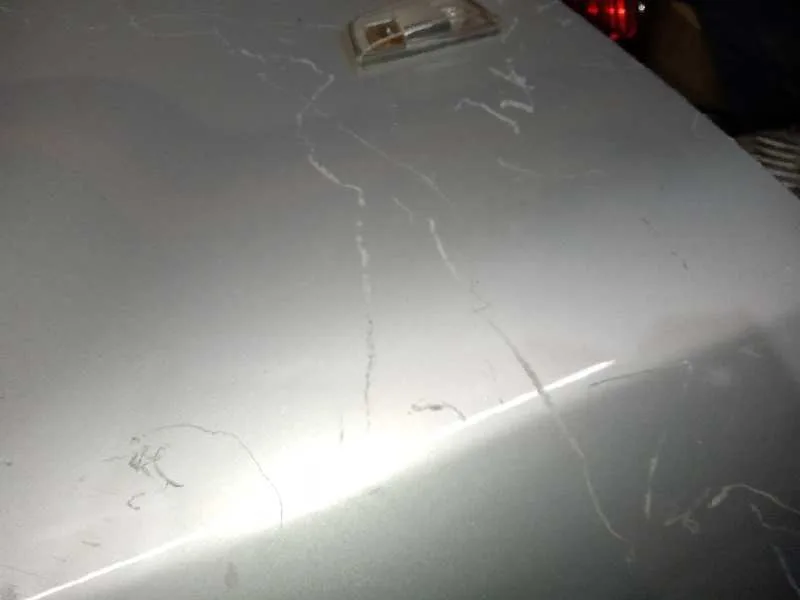 Aleta Delantera Derecha para Cadillac Bls