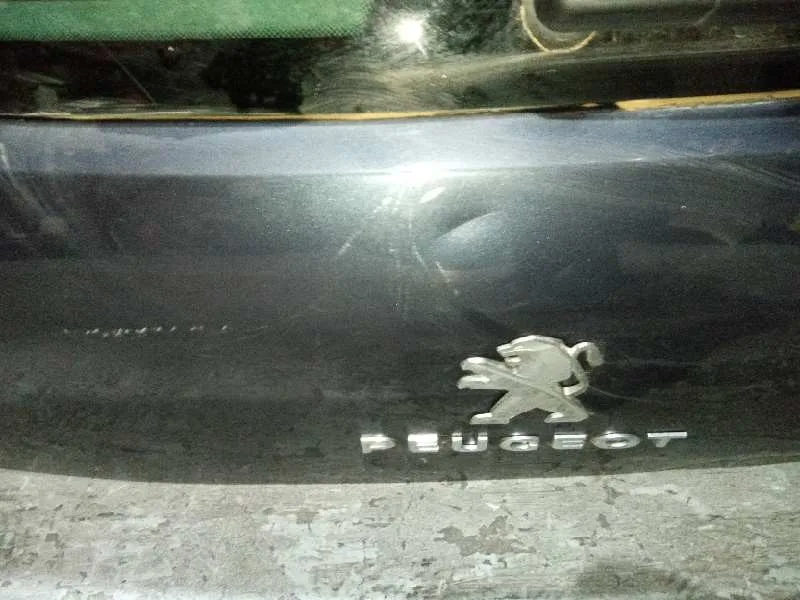 Porton Trasero para Peugeot 3008
