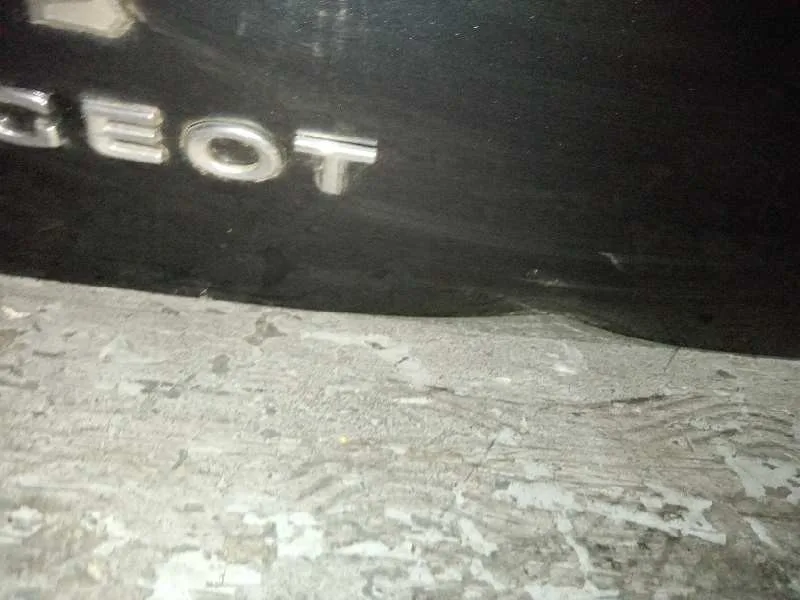 Porton Trasero para Peugeot 3008