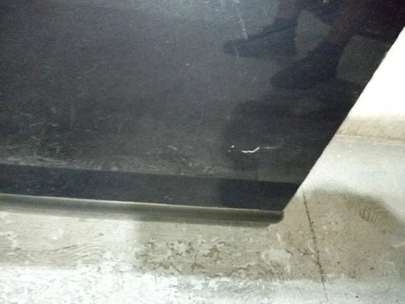 Puerta Delantera Izquierda para Peugeot 3008