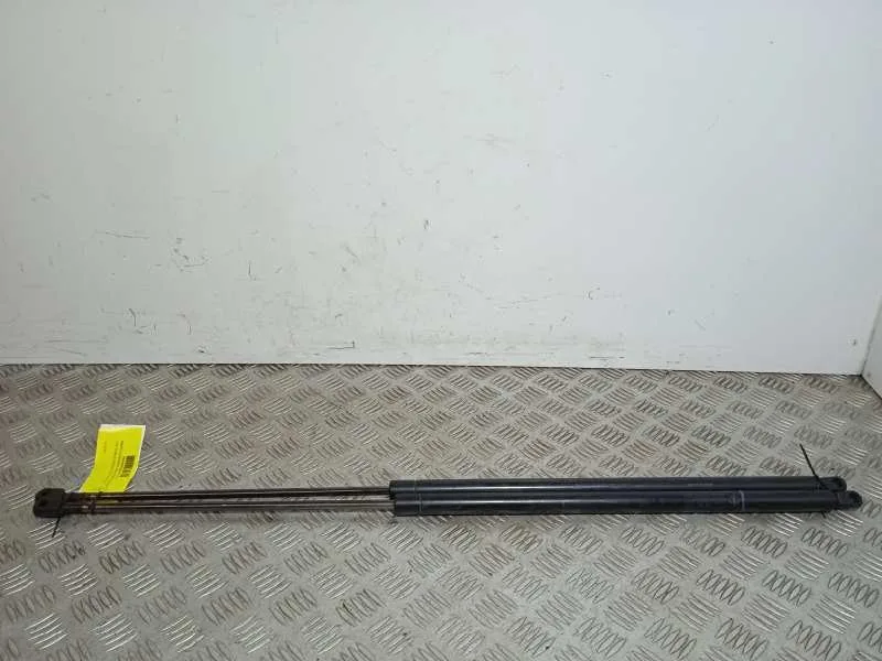 Amortiguadores Maletero / Porton para Fiat Doblo Cargo (223)
