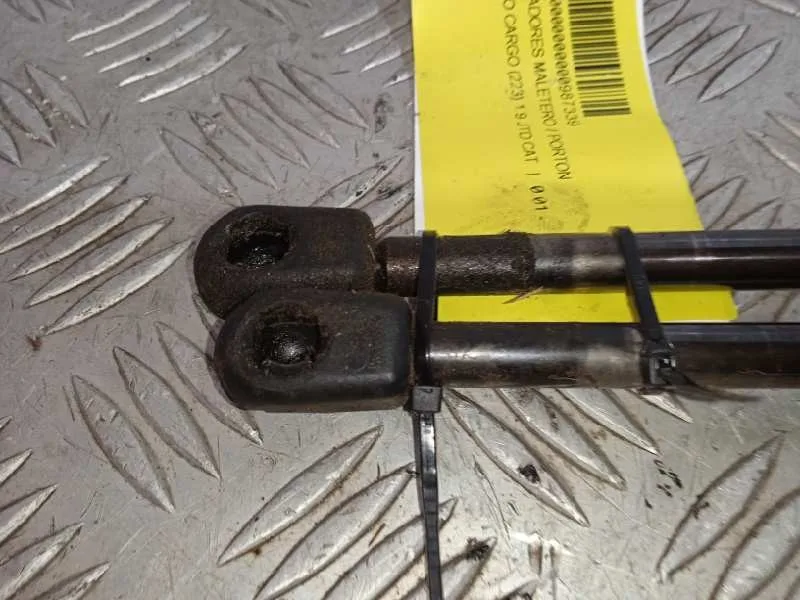 Amortiguadores Maletero / Porton para Fiat Doblo Cargo (223)