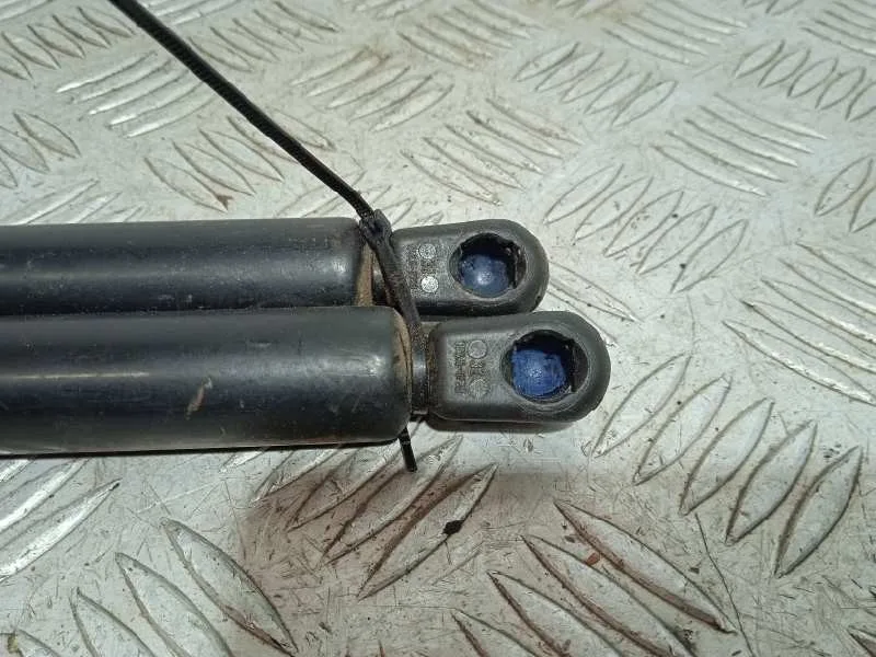 Amortiguadores Maletero / Porton para Fiat Doblo Cargo (223)