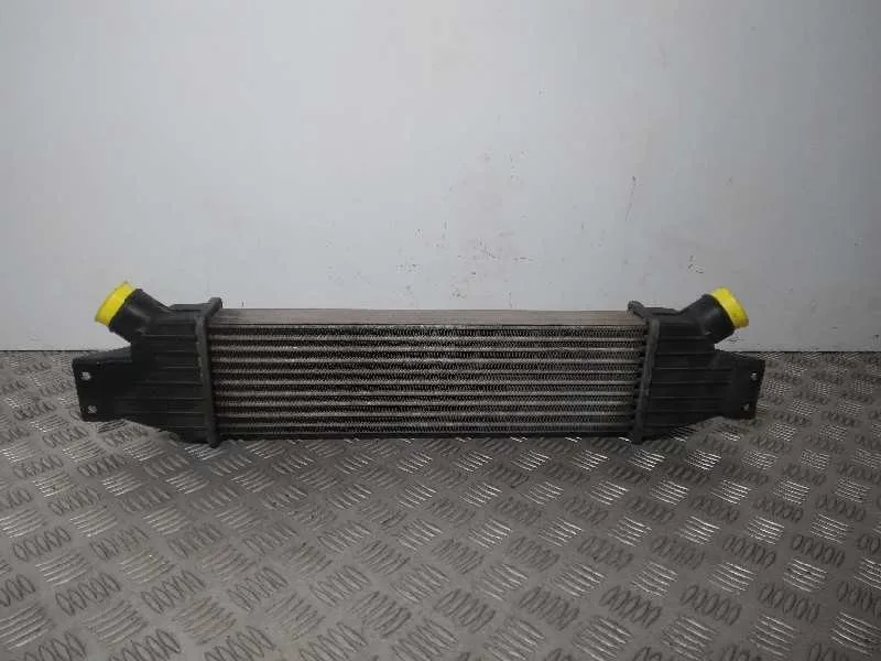 Intercooler para Ssangyong Rodius