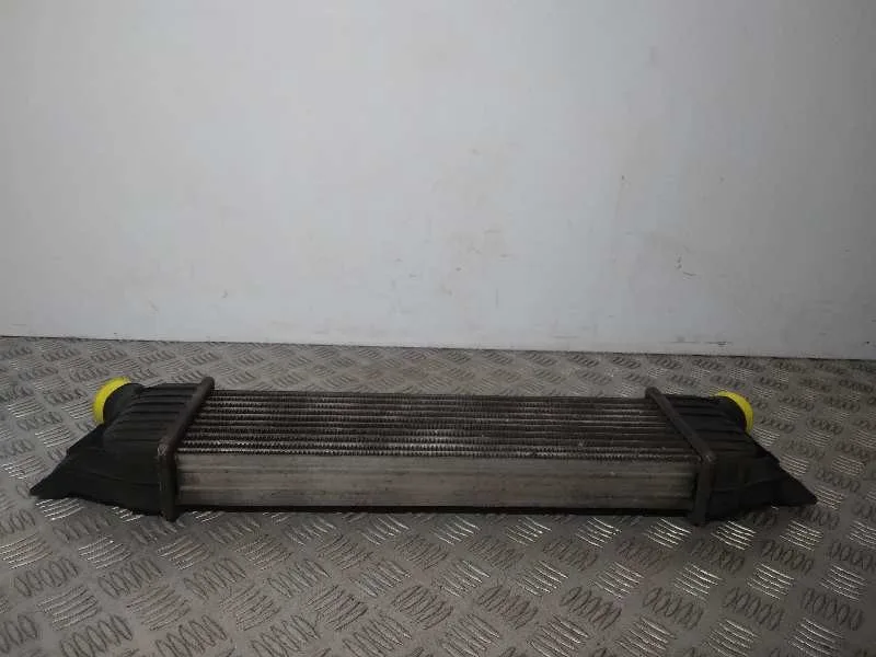 Intercooler para Ssangyong Rodius
