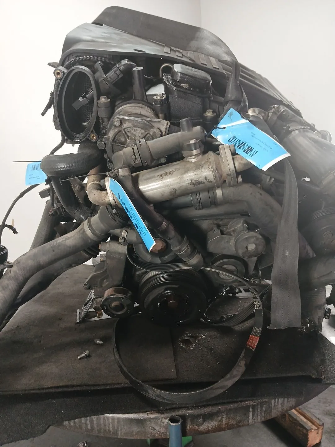 Despiece Motor para Bmw Serie 3 Berlina (E46)