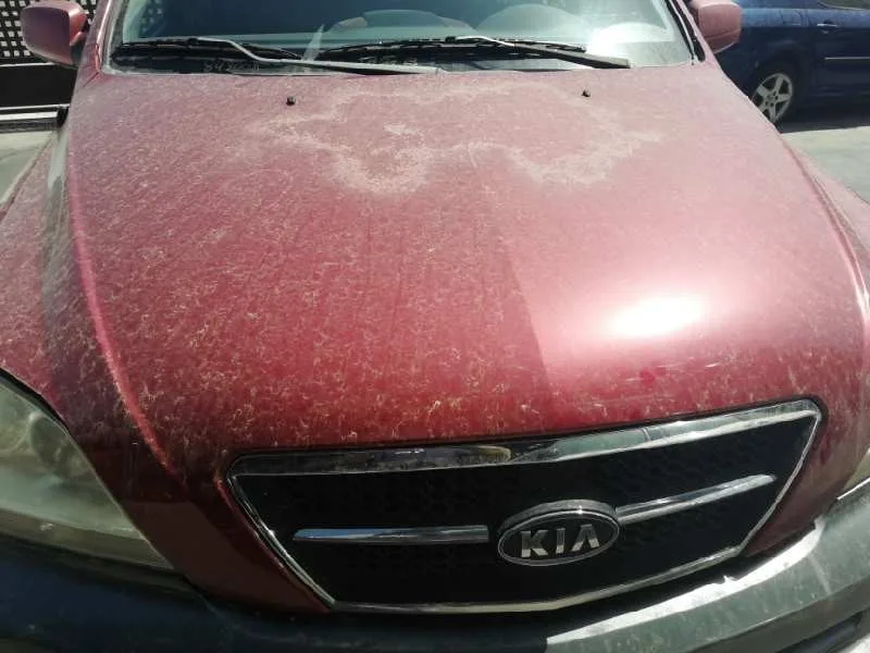Capot para Kia Sorento