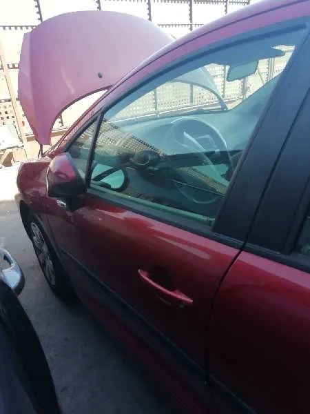 Puerta Delantera Izquierda para Peugeot 207
