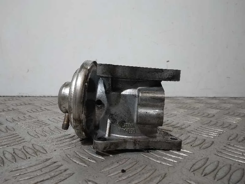 Valvula Egr para Volkswagen Passat Berlina (3C2)