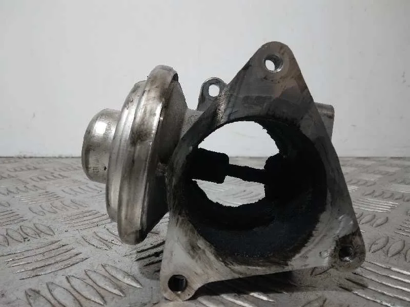 Valvula Egr para Volkswagen Passat Berlina (3C2)