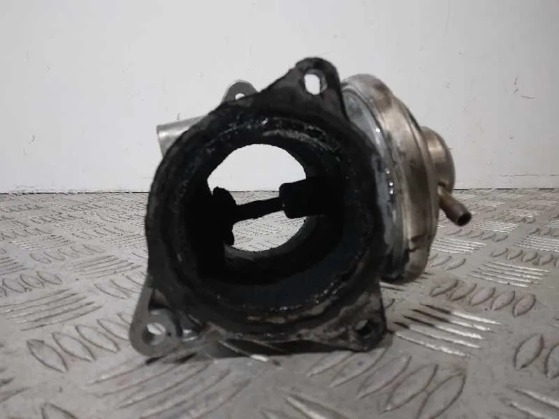 Valvula Egr para Volkswagen Passat Berlina (3C2)