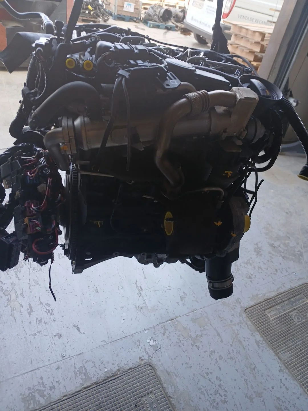 Motor Completo para Audi A4 Avant (8K5) (2008)