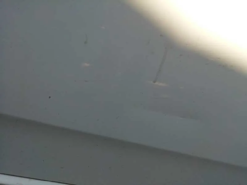 Puerta Delantera Derecha para Fiat Punto (Evo) (199)