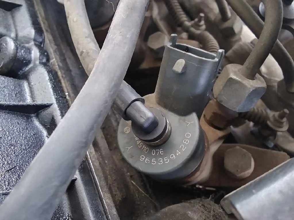 Despiece Motor para Peugeot 307 (S1)