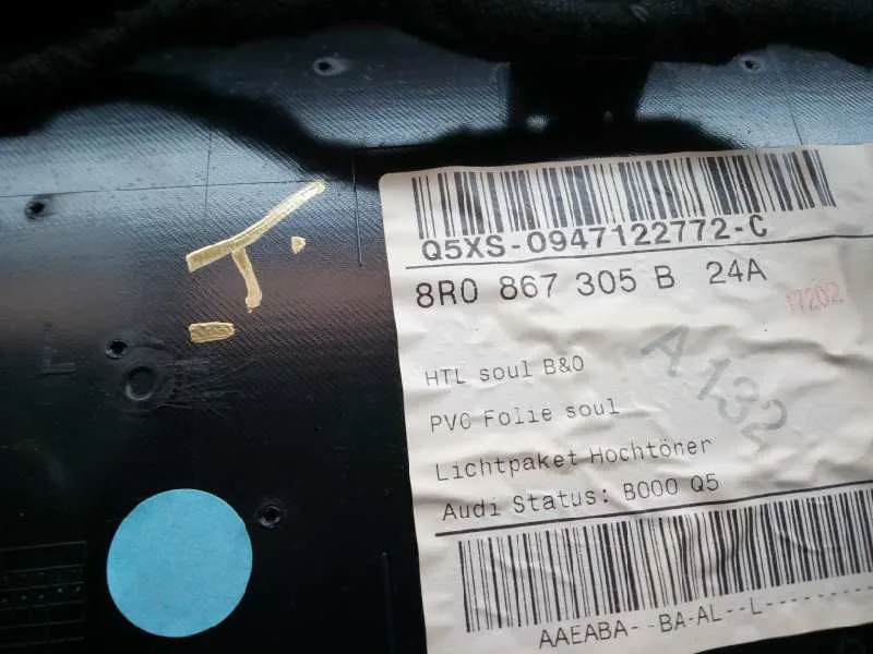 Guarnecido Puerta Trasera Izquierda para Audi Q5 (8R)