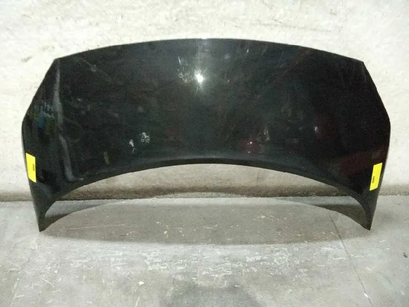 Capot para Renault Scenic Ii